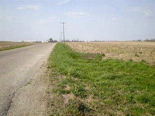 Intensive Grain Crop Farm.  276 acres.  Very productive farm.  Has excellent natural drainage.  Owners have signed lease for wind power development.
Possession is at closing.
High School - Monroe Central High School
Electric Source - AEP  - 276 Acre Intensive Grain Crop Farm